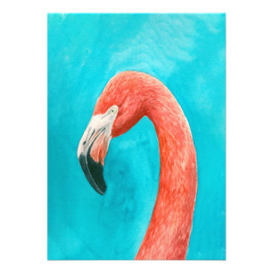 Flamingo Photo Print