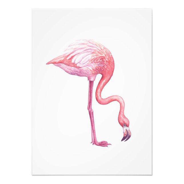 Flamingo Photo Print (Front)