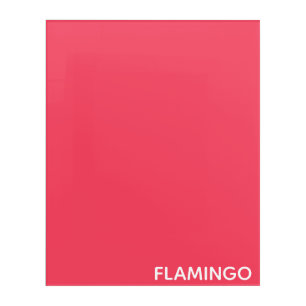 Flamingo pink color name acrylic print