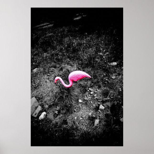 flamingo pink poster (Front)