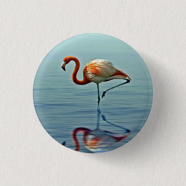 Flamingo Pink Reflection Wildlife Photo Button (Front)