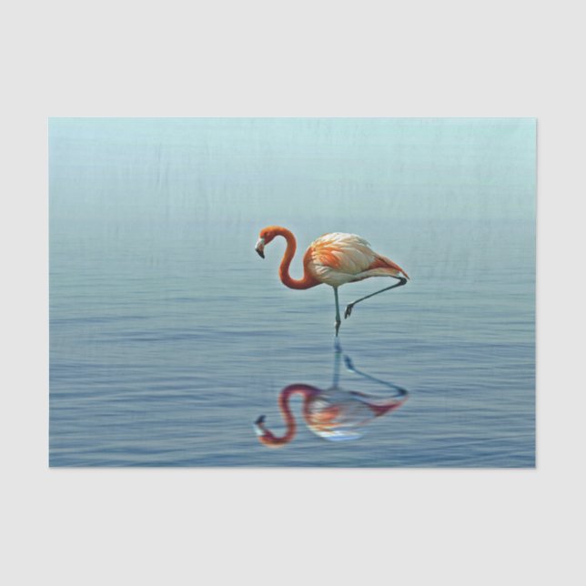 Flamingo Pink Reflection Wildlife Photo Tissue Paper (Front)