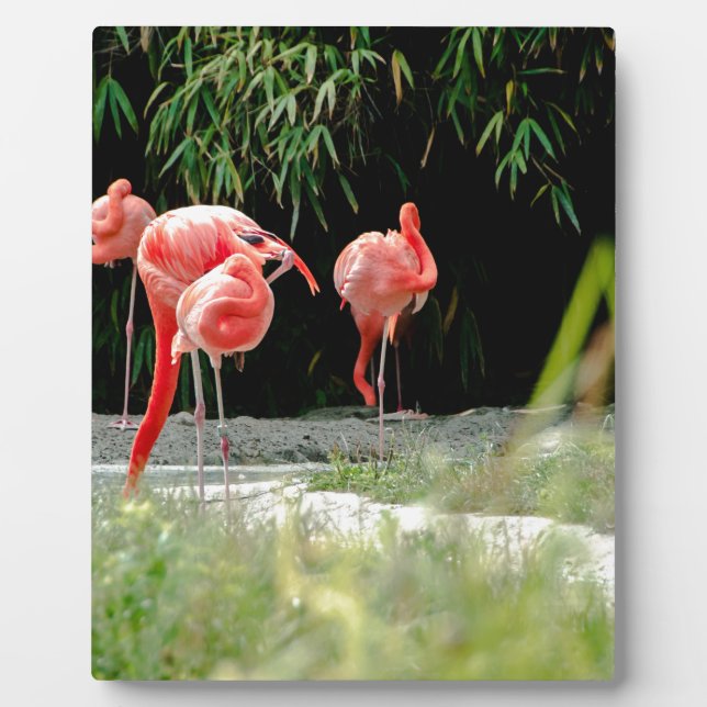 flamingo plaque (Front)