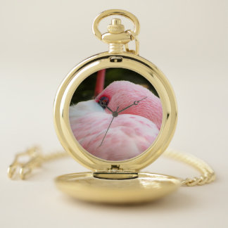 Flamingo pocket watch