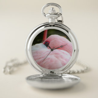 Flamingo  pocket watch