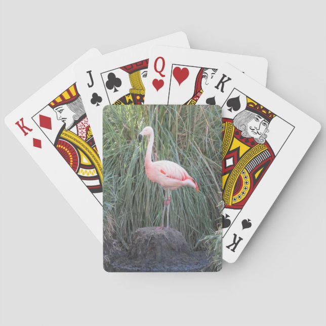 Flamingo Poker Cards (Back)