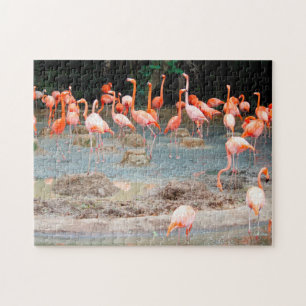 Flamingo Pond Singapore. Jigsaw Puzzle