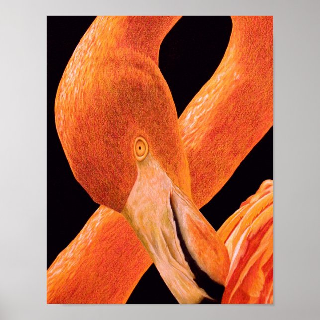 Flamingo Portrait Poster (Front)