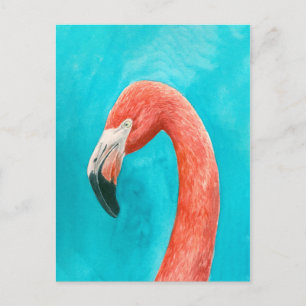 Flamingo Postcard