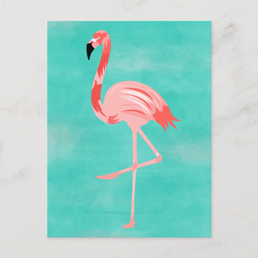 Flamingo Postcard | Zazzle