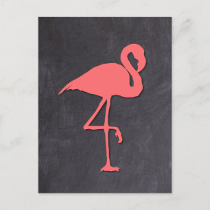 Flamingo Postcard