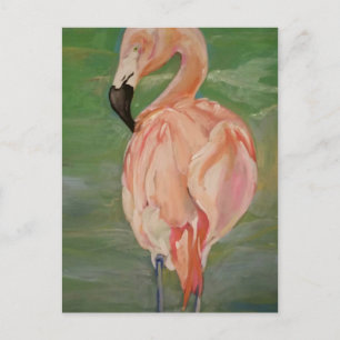 Flamingo Postcard