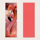 Flamingo Profile Card (Front & Back)