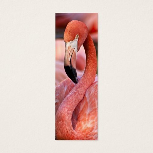 Flamingo Profile Card Business Cards
