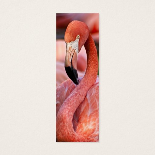 Customizable Flamingo Profile Card Business Cards