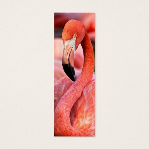 Flamingo Profile Card or Bookmark Business Card