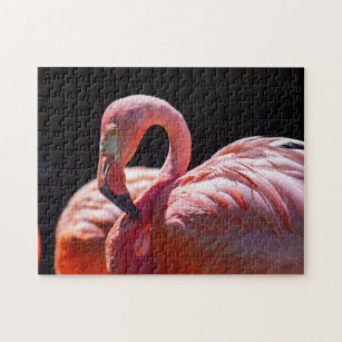 Flamingo Jigsaw Puzzles | Zazzle