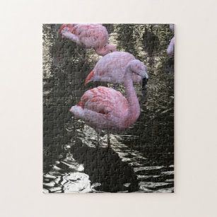 Flamingo Jigsaw Puzzles | Zazzle