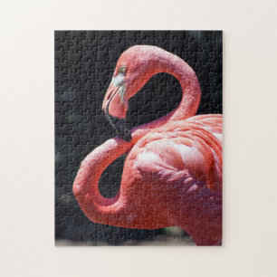 Flamingo Puzzle