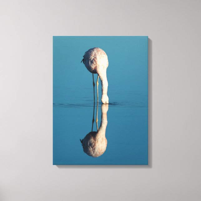 Flamingo Reflection, Laguna Chaxa, Atacama Canvas Print (Front)