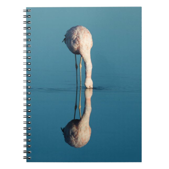 Flamingo Reflection, Laguna Chaxa, Atacama Notebook (Front)
