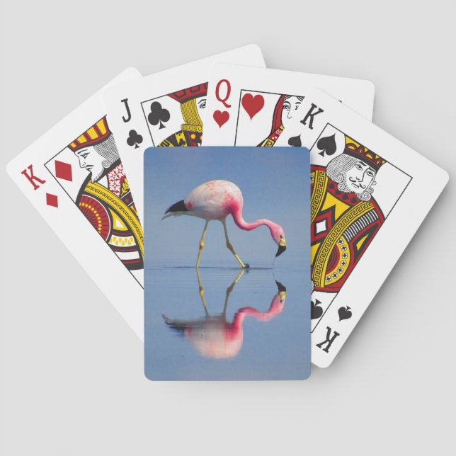 flamingo reflection poker cards (Back)