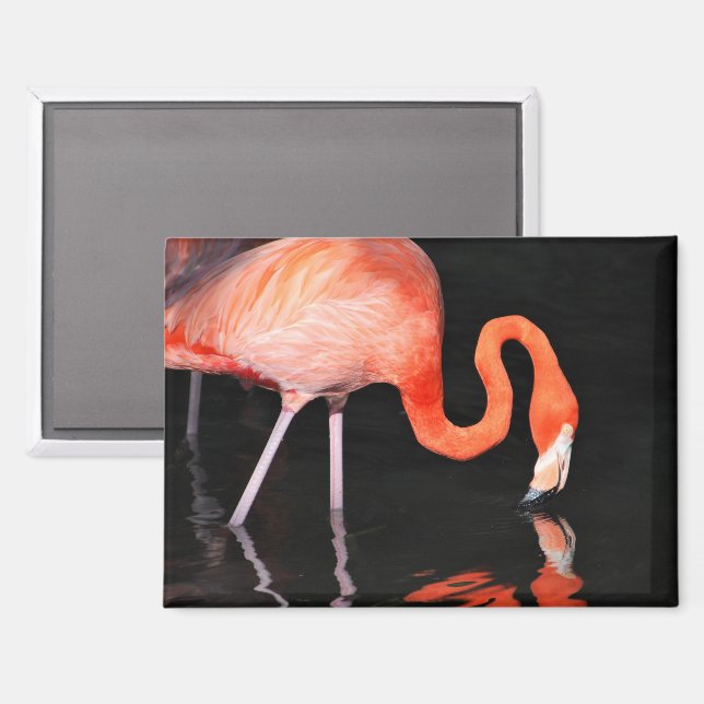 Flamingo refrigerator magnet (Front/Back)