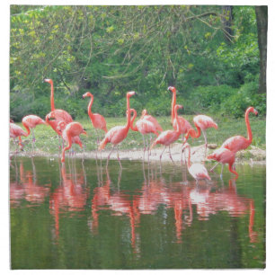 Flamingo Row at Lake in Spring,Birds Pink Wildlife Cloth Napkin