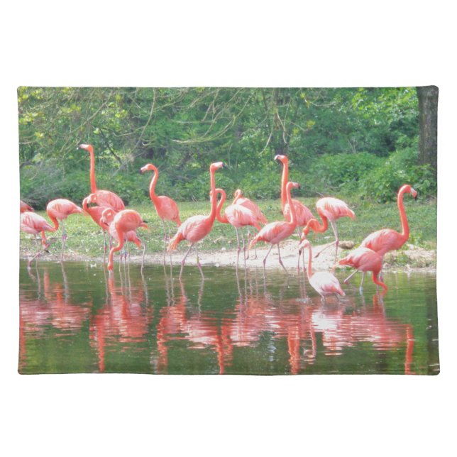 Flamingo Row at Lake in Spring,Birds Pink Wildlife Placemat (Front)
