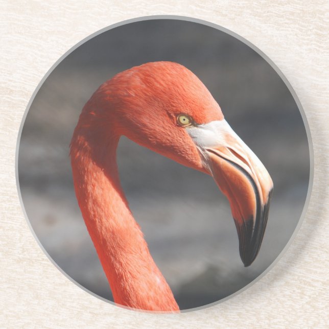 Flamingo Sandstone Coaster (Front)