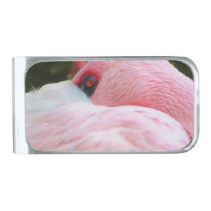 Flamingo  silver finish money clip