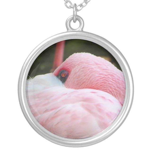 Flamingo  silver plated necklace (Front)
