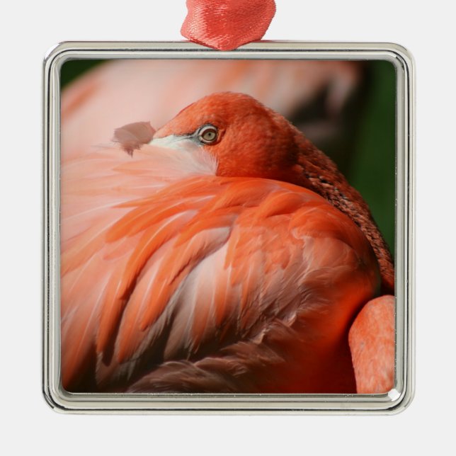 Flamingo square Ornament (Front)