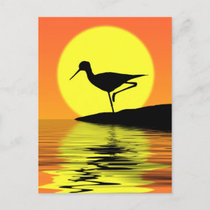 Flamingo Sunset Postcard