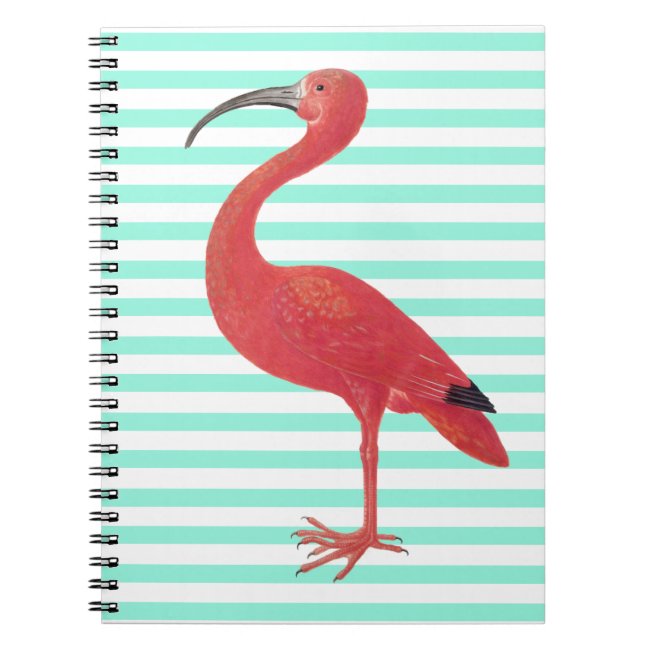 Flamingo & Teal stripes - Fine Art Notebook