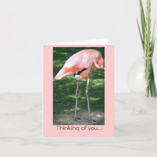 Flamingo Thinking of you... Card
