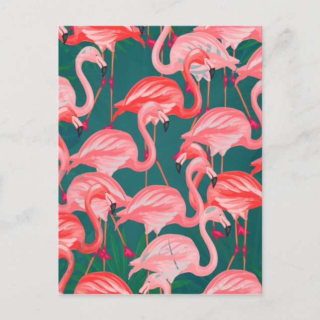 flamingo tropical summer postcard (Front)