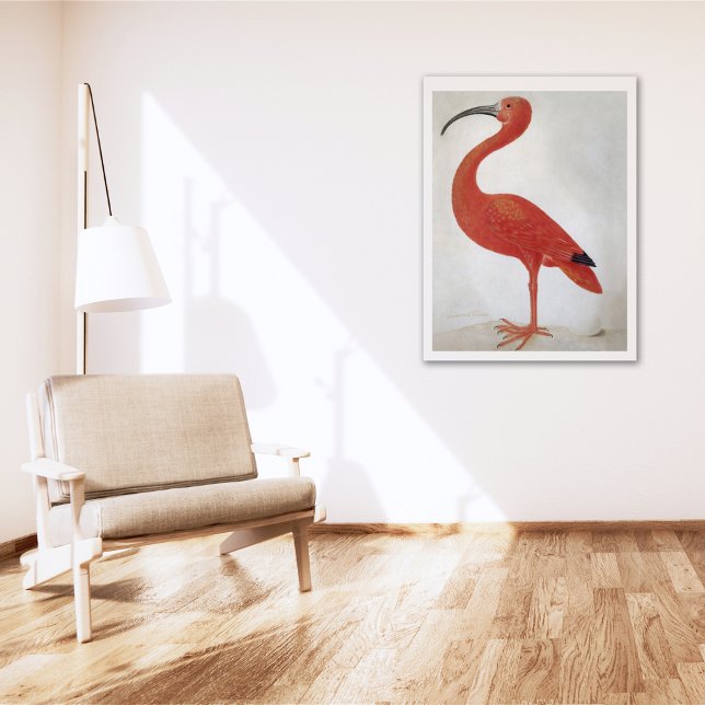 Flamingo - Vintage Fine Art Poster (Creator Uploaded)