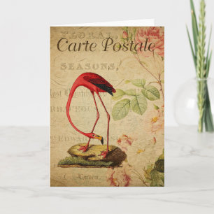 Flamingo Vintage French Postcard Card