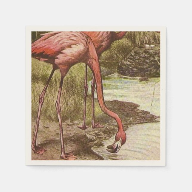 Flamingo Vintage Illustration  Napkins (Front)