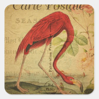 Flamingo Vintage Postcard Painting