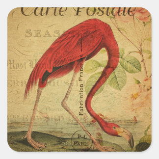 Flamingo Vintage Postcard Painting Square Sticker