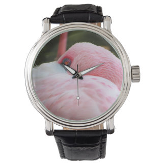 Flamingo watch