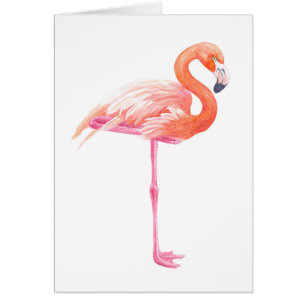 Flamingo watercolor cards