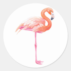 Flamingo watercolor classic round sticker