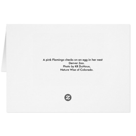 Flamingo with Egg (Back Horizontal)