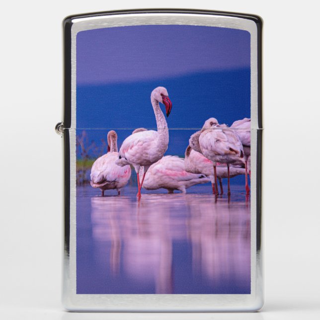 Flamingo Zippo Lighter (Front)