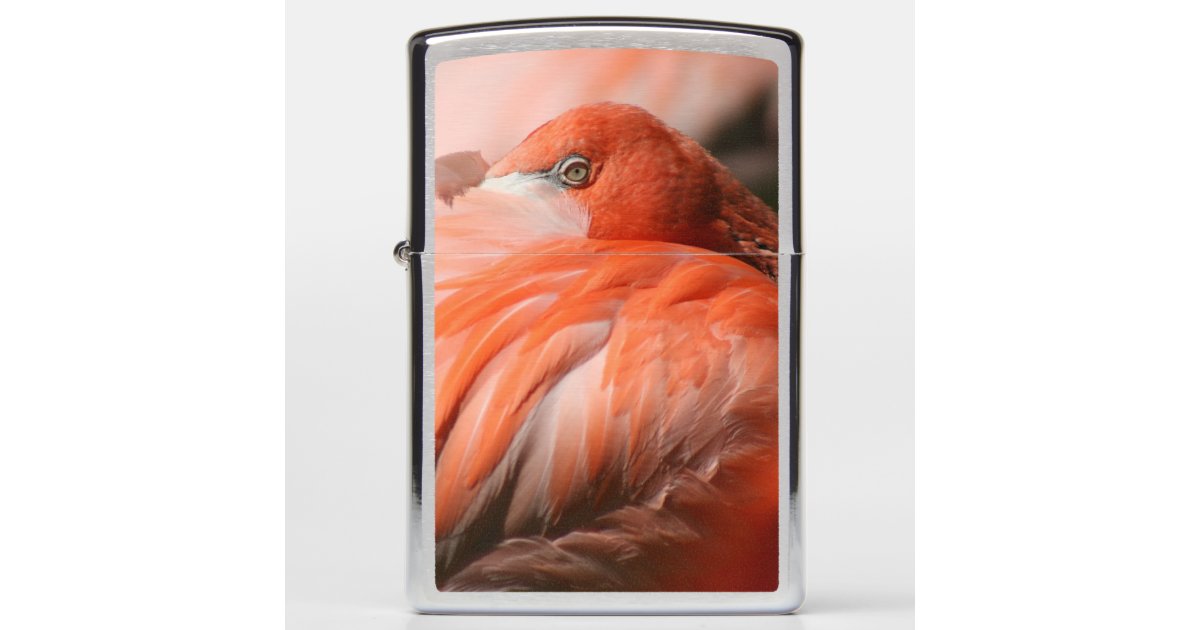 Flamingo Zippo lighter Zazzle