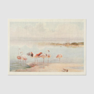 Flamingoes Bird Ephemera Decoupage Tissue Paper