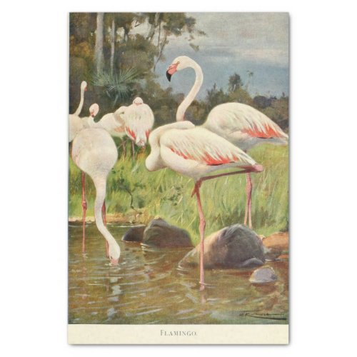 Flamingoes Bird Ephemera Decoupage Tissue Paper